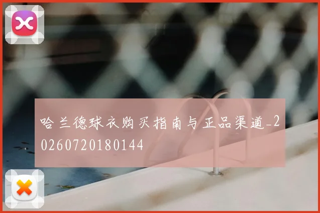 哈兰德球衣购买指南与正品渠道_20260720180144