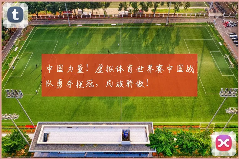 中国力量！虚拟体育世界赛中国战队勇夺桂冠，民族骄傲！
