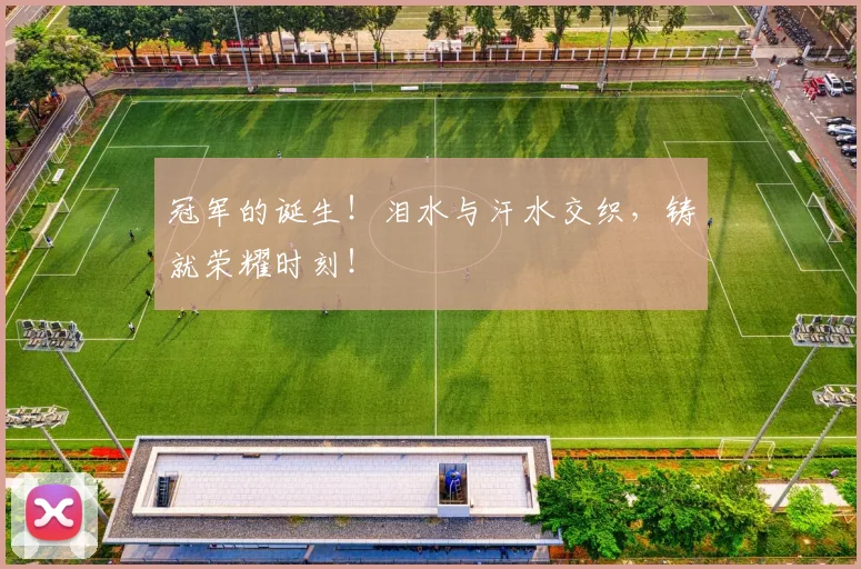冠军的诞生!泪水与汗水交织,铸就荣耀时刻!