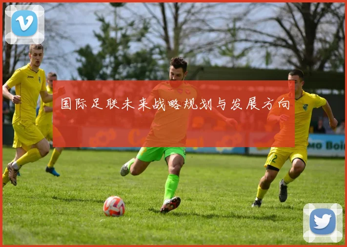 国际足联未来战略规划与发展方向