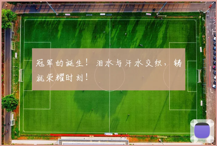 冠军的诞生！泪水与汗水交织，铸就荣耀时刻！